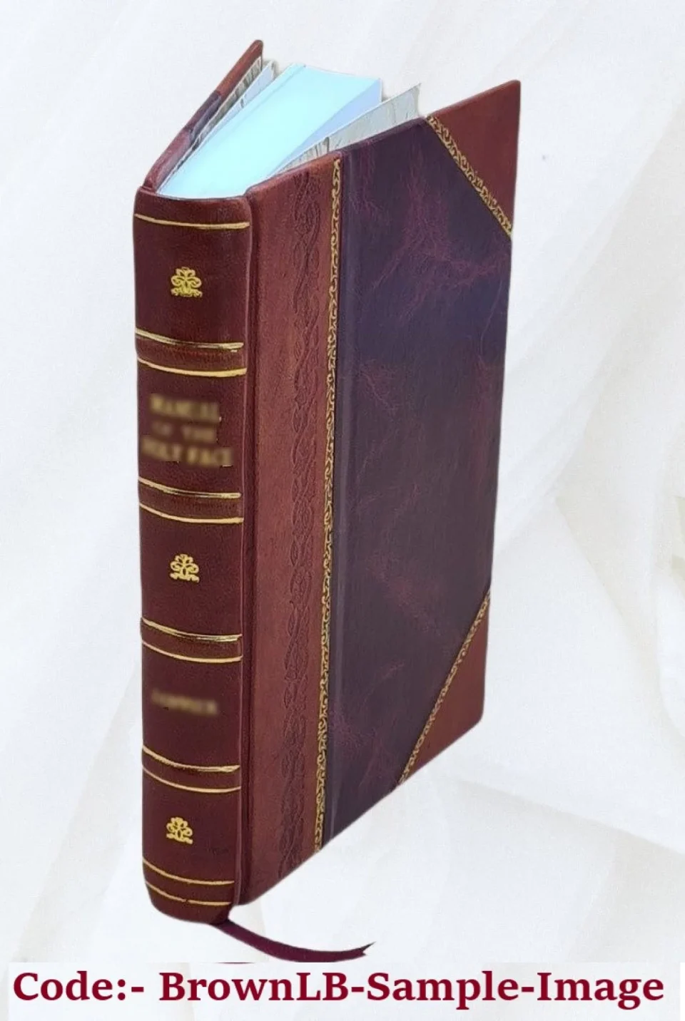 Versatile Long-Lasting The prose works of John Milton: with a biographical introduction. By Rufus Wilmot Griswold. Volume v.2 1845 [Leather Bound]